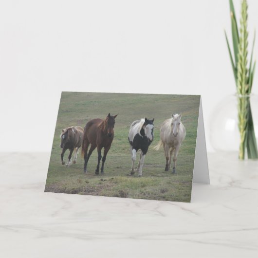 Drie Paarden en een Pony Kaart (Voorkant)