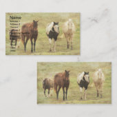 Drie paarden en een Pony Visitekaartje (Voorkant / Achterkant)