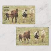 Drie paarden en een Pony Visitekaartje (Voorkant / Achterkant)