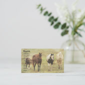 Drie paarden en een Pony Visitekaartje (Staand voorkant)