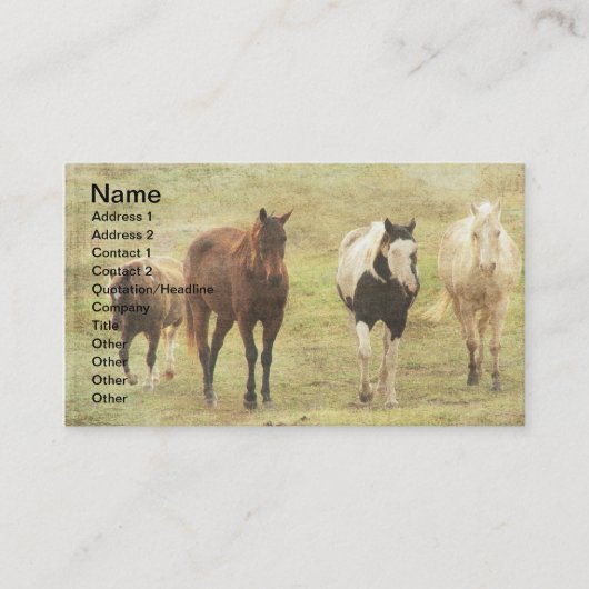 Drie paarden en een Pony Visitekaartje (Voorkant)
