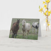 Drie Paarden Friends Forever Kaart (Gele Bloem)