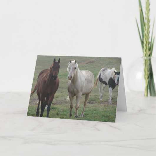 Drie Paarden Friends Forever Kaart (Voorkant)