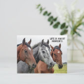 Drie paarden - "Het leven gaat over momenten." Briefkaart (Staand voorkant)