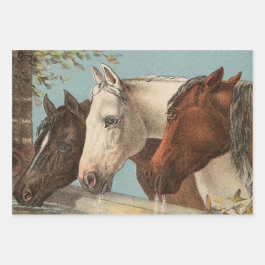 Drie paarden  illustratie inpakpapier vel (Voorkant 2)