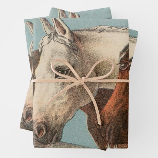 Drie paarden  illustratie inpakpapier vel (In situ)