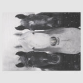 Drie paarden in de sneeuw Decoupage Tissuepapier (Voorkant)