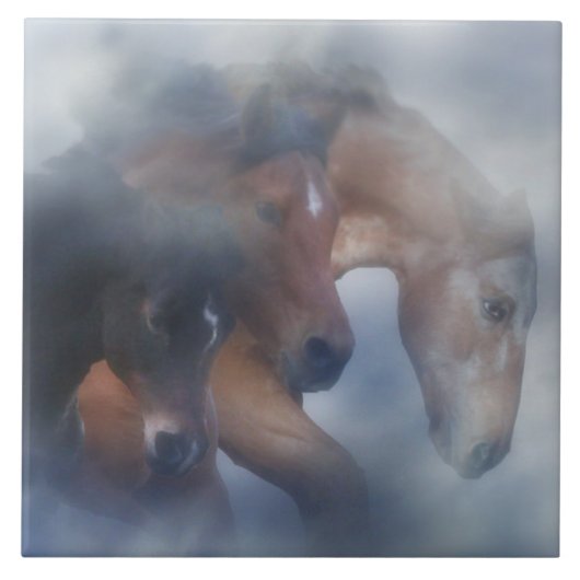 Drie paarden in de Tegel van de Mist Art Tegeltje (Voorkant)