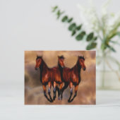 Drie paarden in één briefkaart (Staand voorkant)