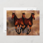Drie paarden in één briefkaart (Voorkant / Achterkant)