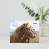 Drie paarden in een rij Briefkaart (Staand voorkant)
