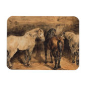 Drie paarden in hun stal magneet (Horizontaal)