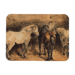 Drie paarden in hun stal magneet