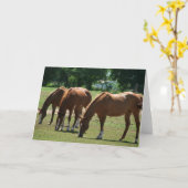 Drie paarden kaart (Gele Bloem)