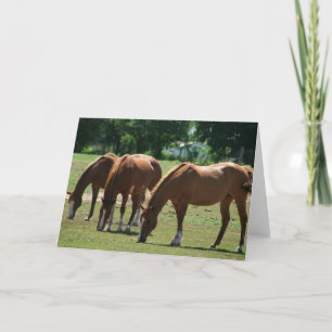 Drie paarden kaart