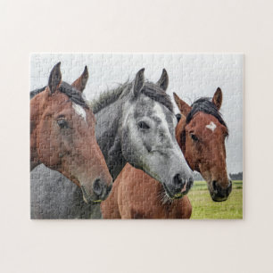 Drie paarden legpuzzel