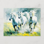 Drie paarden lopen door het bloemenveld briefkaart (Voorkant)