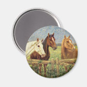 Drie  paarden magneet (Voorkant / Achterkant)