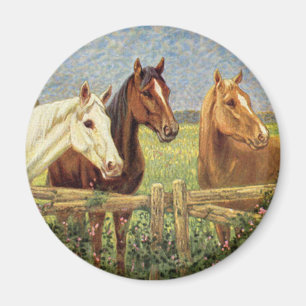 Drie  paarden magneet