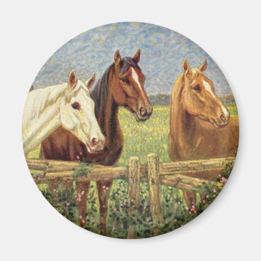 Drie  paarden magneet (Voorkant)