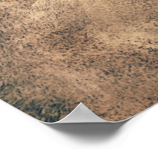 drie paarden poster (Hoek)