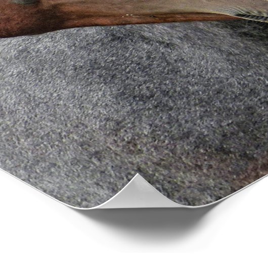 Drie paarden poster (Hoek)