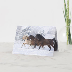 Drie paarden rennen in het Wenskaart Kaart
