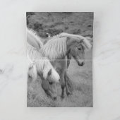 Drie paarden rennen naar Waterfall Horse Wenskaart Kaart (Binnen)