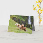 Drie paarden rennen naar Waterfall Horse Wenskaart Kaart (Gele Bloem)