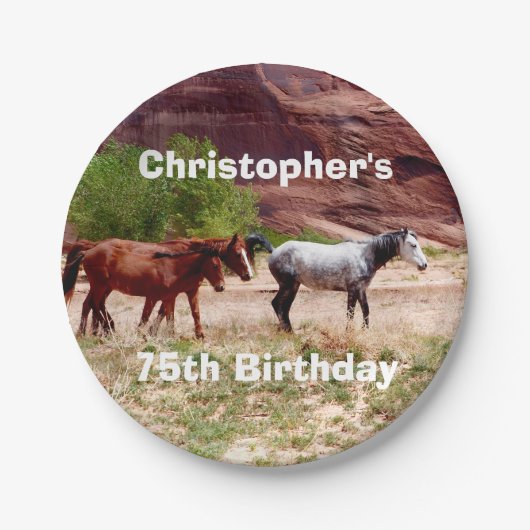 Drie paarden, Southwest, 75th Birthday Party Papieren Bordje (Voorkant)