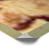 Drie paarden van Lascaux Poster (Hoek)