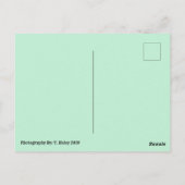 Drie paasBunnies-Briefkaart Briefkaart (Achterkant)