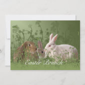 Drie Paaskonijnen Uitnodiging tot Brunch (Voorkant)