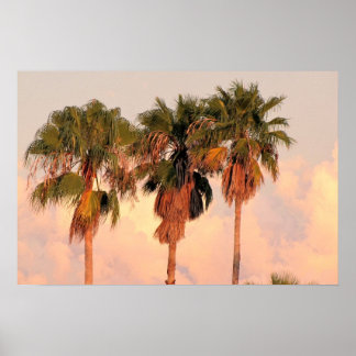 Drie palmbomen badend in warme zonsondergang poster