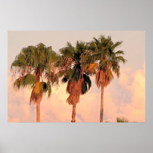Drie palmbomen badend in warme zonsondergang poster (Voorkant)