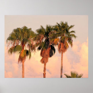 Drie palmbomen in Warm Sunset Poster