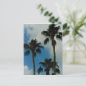 Drie palmen briefkaart (Staand voorkant)