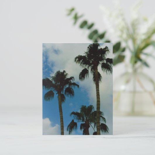 Drie palmen briefkaart (Staand voorkant)