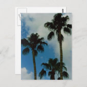 Drie palmen briefkaart (Voorkant / Achterkant)