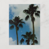 Drie palmen briefkaart (Voorkant)