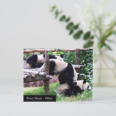 Drie Panda-Beren die plezier hebben in het spelen Briefkaart (Staand voorkant)