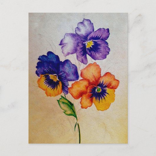 Drie  Pansy bloemen kleurpotloden Briefkaart (Voorkant)