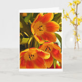 Drie Papavers - glans helder Kaart (Gele Bloem)