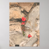 Drie papavers poster (Voorkant)