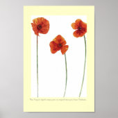 Drie papavers poster (Voorkant)
