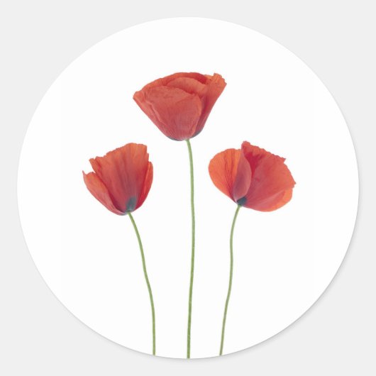 Drie papavers ronde sticker (Voorkant)