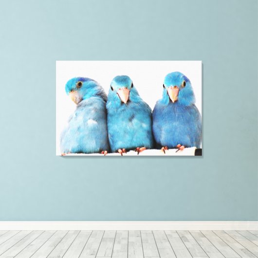 Drie papegaaien Pacific Blue Parrotlets Canvas Art (Insitu (Houten vloer))