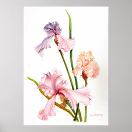 Drie Pastel Irissen Print Poster papier (mat)