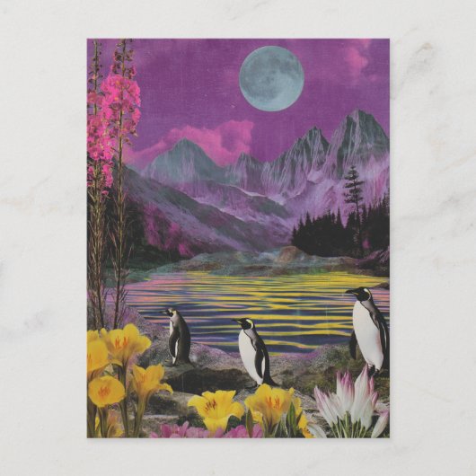 Drie Peguins Surreal Gemengde media Briefkaart (Voorkant)