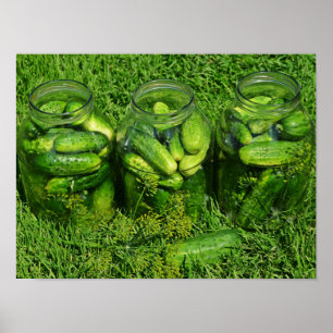 Drie pekelaar gevuld met hele komkommers poster